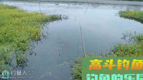 三种不同水域的实用的调漂技巧