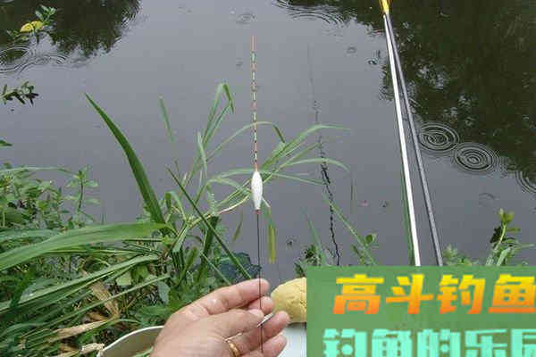 浅谈野钓调漂的体会