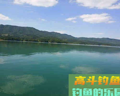 解析夏季野钓两个调漂技巧