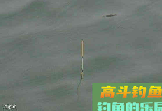 冬季钓鱼怎么调漂？这三点做好鱼获自然多