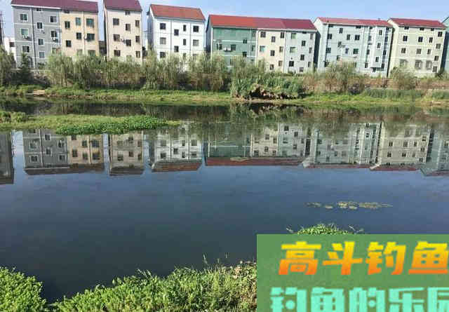 认清调漂灵与钝的本质渔获自然会提升