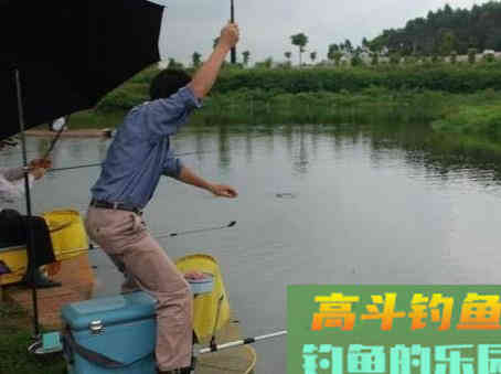 台钓怎么钓灵钓顿？要看实际鱼情