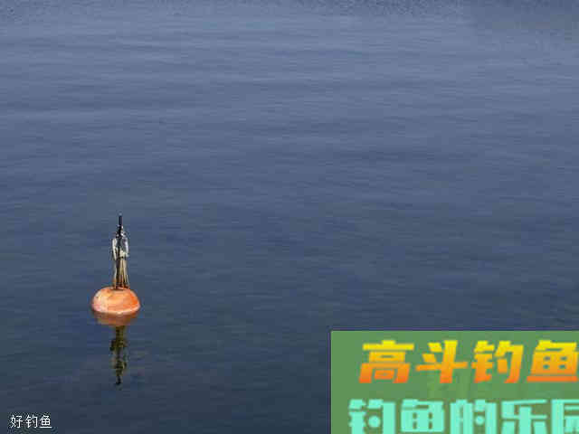 6种漂相判断起竿时机