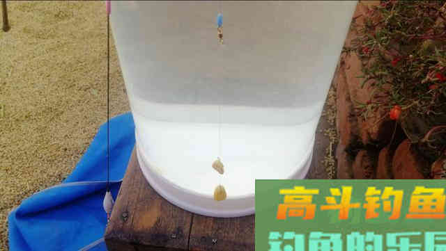 全网最详细的调漂讲解，这样在新手也能理解