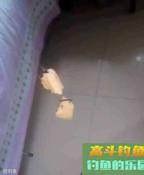 半水调漂挂蚯蚓饵的7个步骤