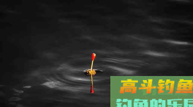 钓鱼调漂的重点是什么？学会两点技巧调漂不再难
