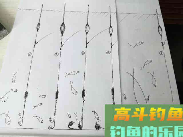 从调四钓二分析，钓过灵和过钝对鱼情的影响