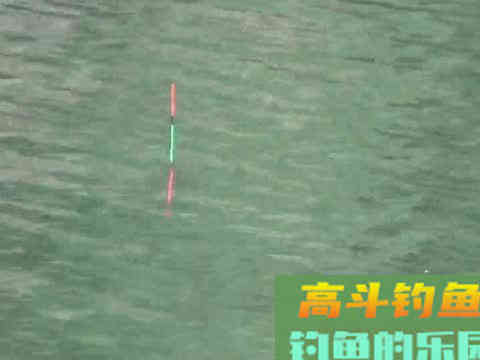 十种钓鱼看漂技巧