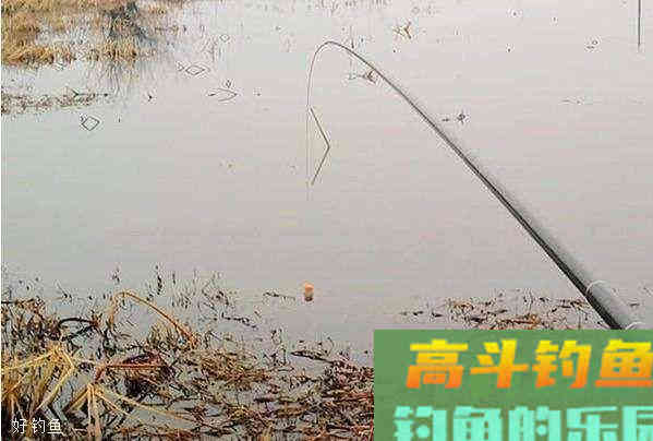 小崔解读：调漂找底做不好？本质因为基本功不扎实