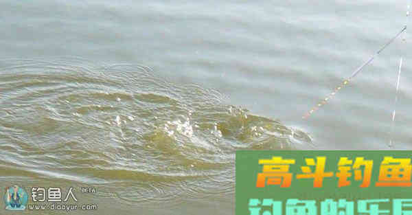 浮漂的灵敏与迟钝区域划分