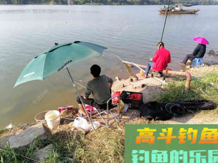 钓大鱼如何调漂，钓大鱼应该注意什么