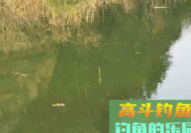 钓鱼找底有多重要？并非全为调漂