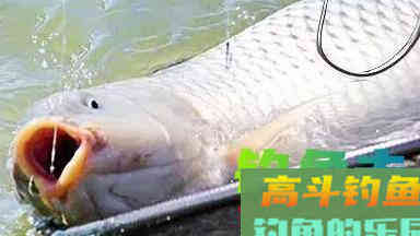 爱野钓的人，先学会这几个调漂大招