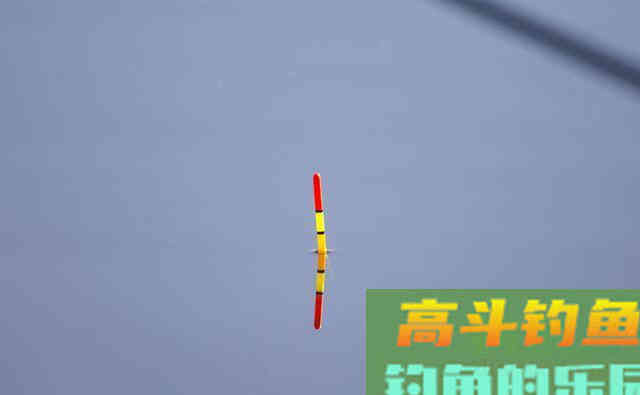 调好的目数，没钓一会就变了！什么原因