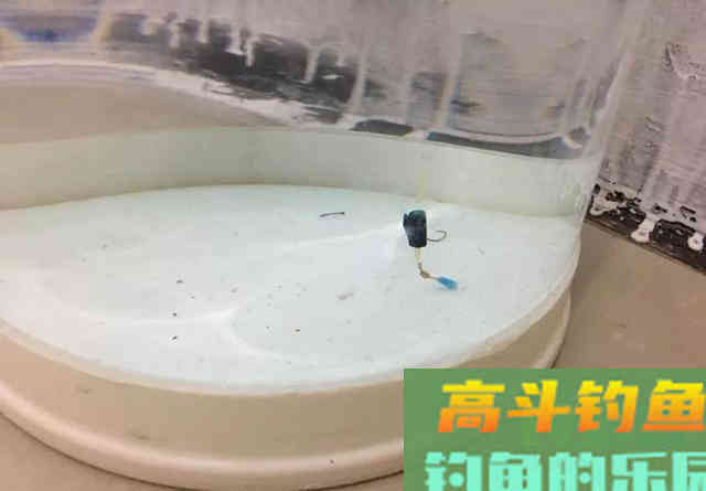 钓鱼调漂：带钩调和不带钩调有什么区别