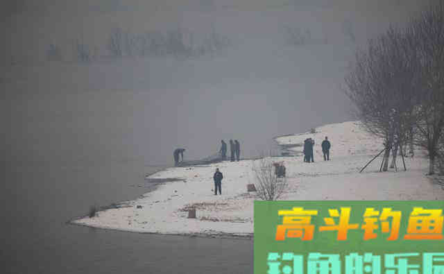 冬季降温自然水域鱼口轻该如何调钓？解析2调钓技巧