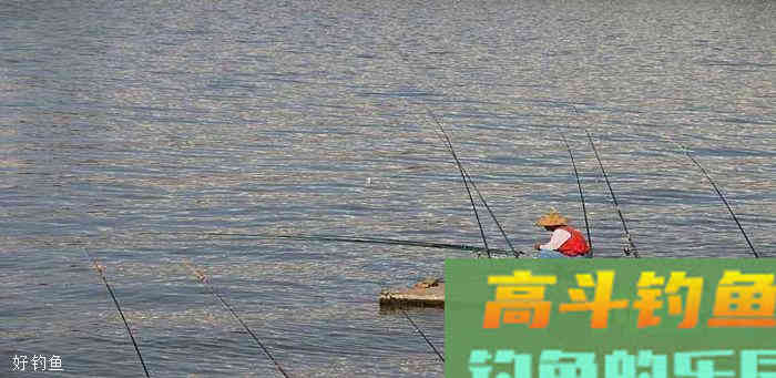 钓鱼解密之浮漂的选择和使用