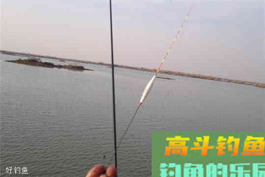 台钓用蚯蚓红虫等活饵钓鱼该怎么调漂？