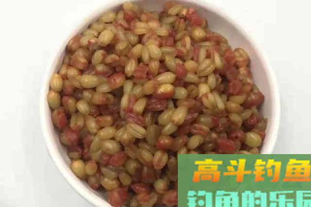 换用麦粒钓鲫鱼，不知钓灵还是钓钝？教你正确做法