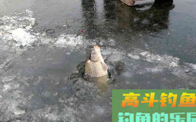 冬钓调漂为什么要强调，做调目时漂尖一定要出水