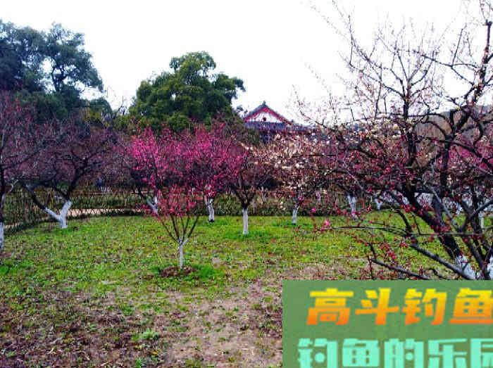 针对不同的作钓水域，是如何来前期找底与调钓