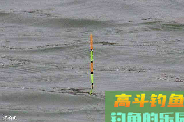 为什么说野钓调漂，调平水，抓的鱼口最多也最真实