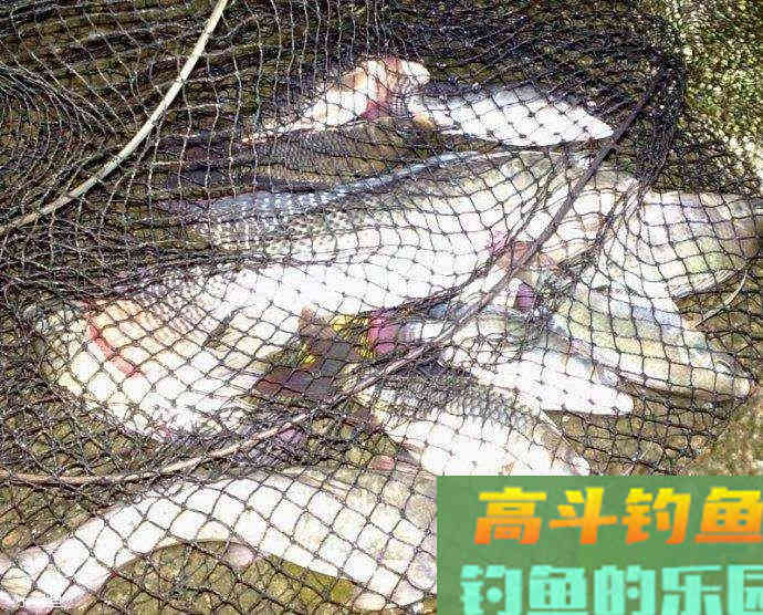 2个钓鱼最快捷找底方法