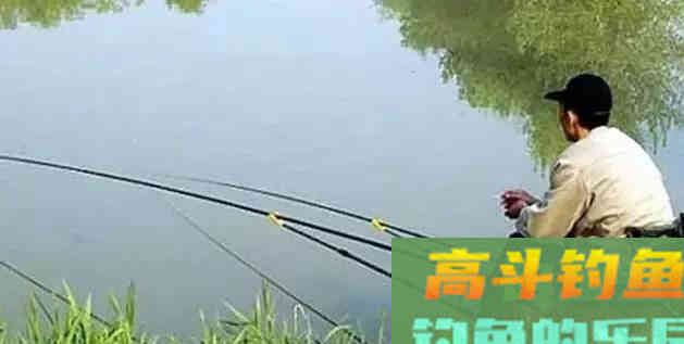只钓灵不钓钝，钓底钓浮都随意，带饵调漂