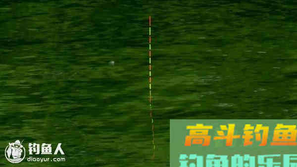 高手解答野外垂钓的调漂技巧