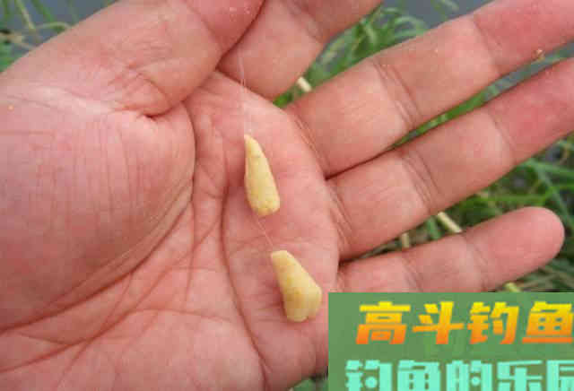 为什么调漂准了却抓不住口？饵料触底方式不同