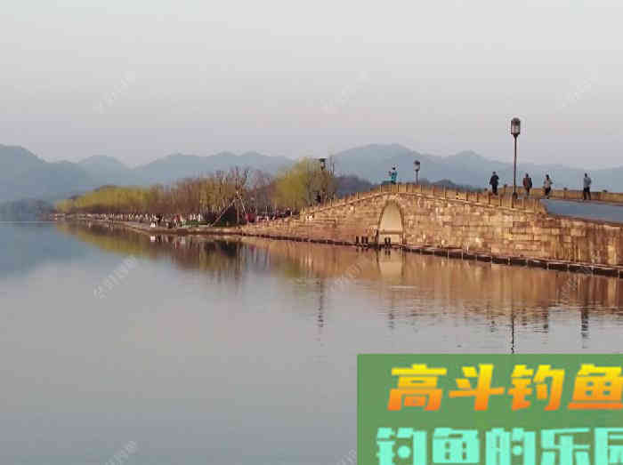 钓鲫鱼的漂相解析