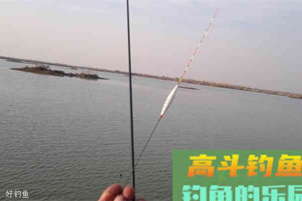 新手钓鱼人如何调漂找底的技巧