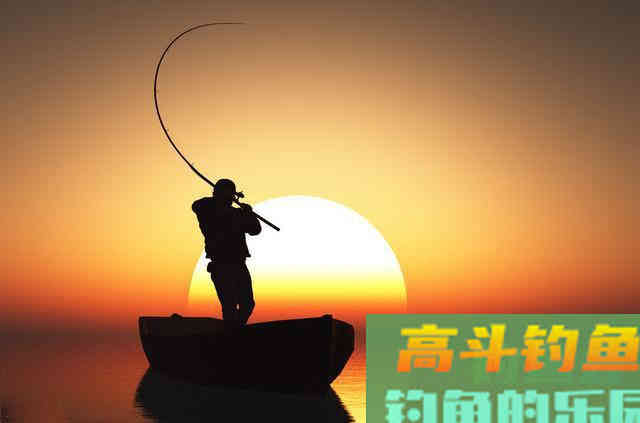 夜钓鲫鱼鲤鱼如何调漂？如何选择夜光漂