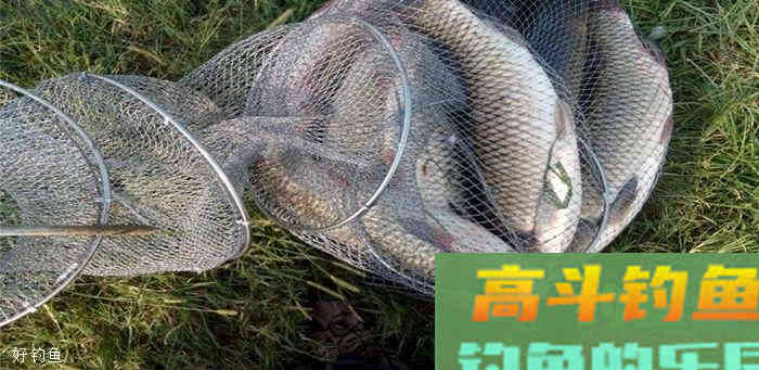 钓鱼解密之浮漂的选择和使用
