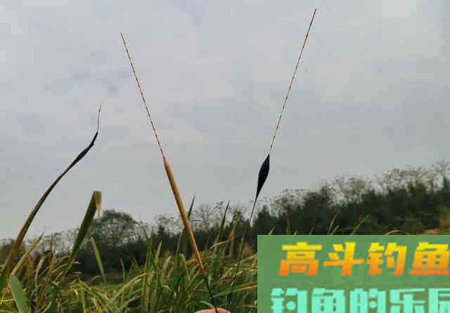 ​挑选浮漂要讲方法，老钓手分享，四步选漂法