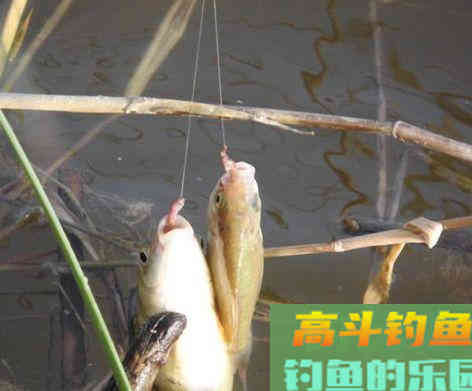 调漂时怎样能做到上钩离底下钩触底？
