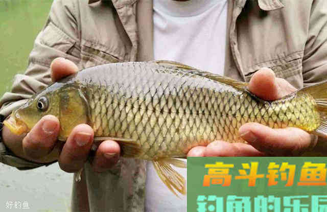 台钓调漂中如何精确地找底？