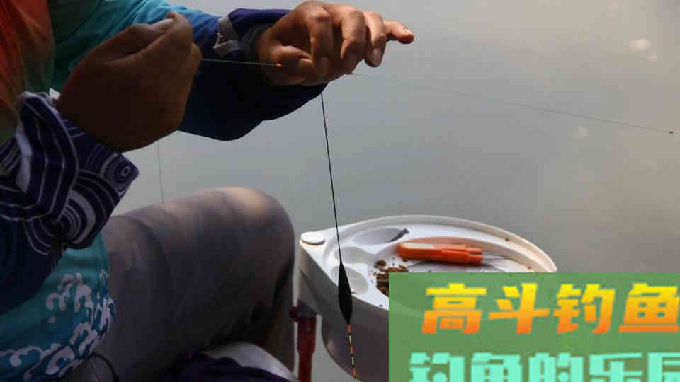 新手调漂是，为何推动浮漂但漂目不变呢
