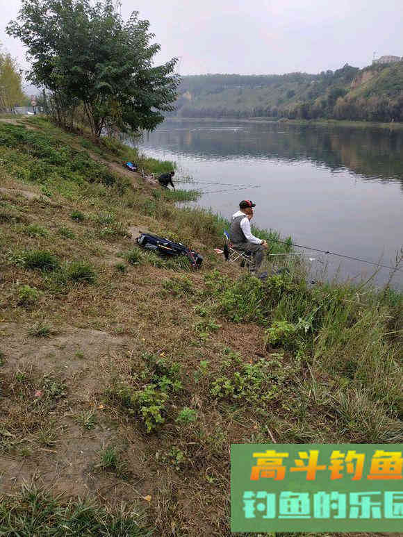 根据水底情况调漂，提高中鱼率，不再有鱼星但没鱼口