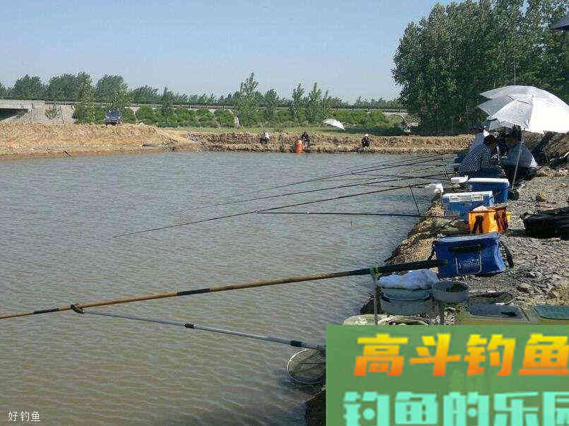 冬季黑坑钓鲤鱼快速调漂法，经验之谈