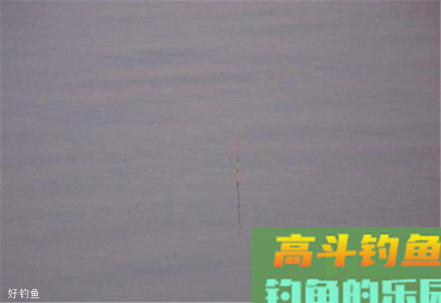 关于漂的力学解释，你可能还不知道