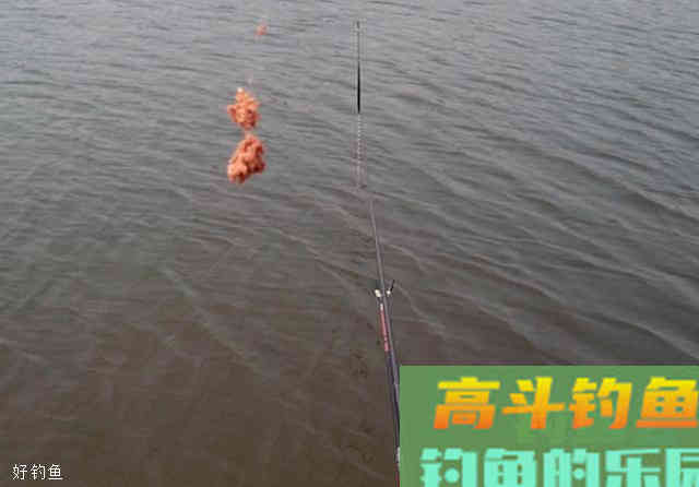 解读顿漂和送漂的浮漂信号