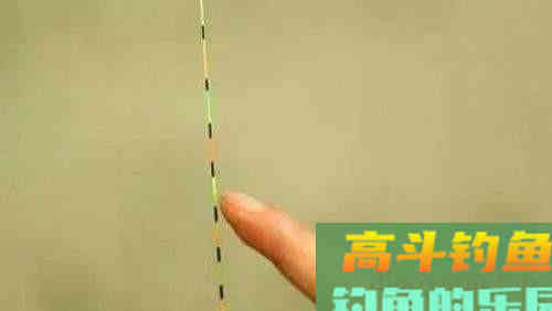 野钓调漂四个步骤，你真的会吗？