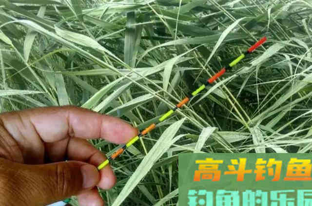 浮漂调钓的一些基本技巧，讲的是浮漂调钓的精髓