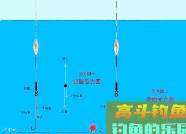 台钓调漂的浮钓原理