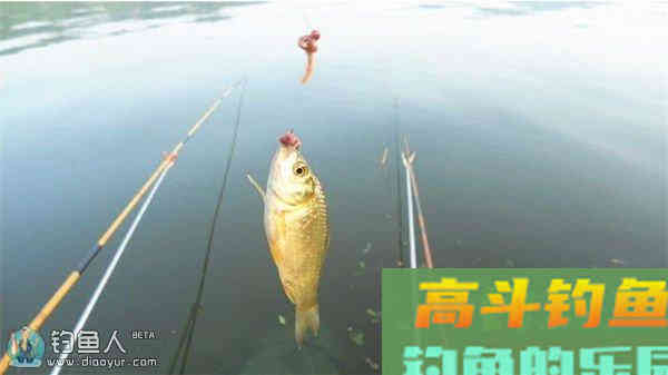 台钓蚯蚓挂钩四个调漂方法