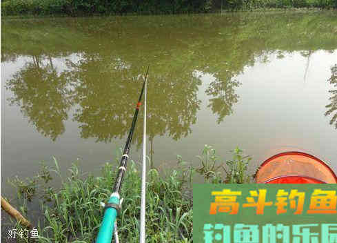 无钩调漂的7个步骤，调漂就是这么简单！