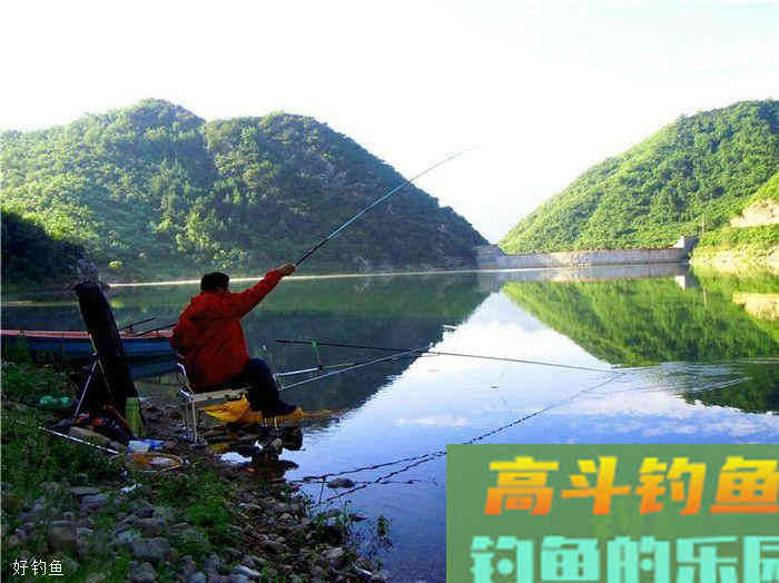 秋季钓鱼怎么调漂？三大技法都在这了
