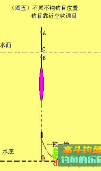 浅谈双调目浮漂调钓法的灵活应用