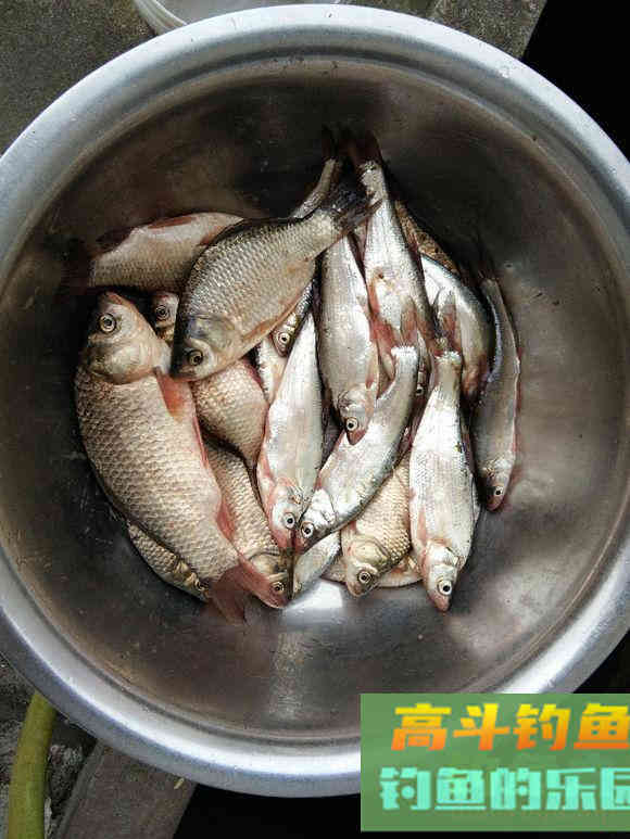 冬天钓鱼调漂，这个选择出乎意料